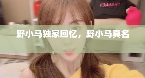 野小马独家回忆，野小马真名 