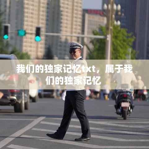 我们的独家记忆txt,属于我们的独家记忆