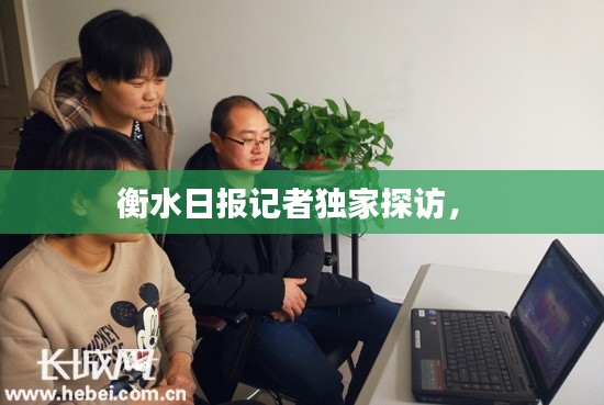 坌鸟先飞 第5页