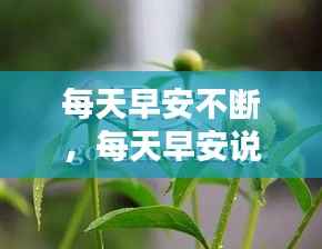 没精打采 第5页