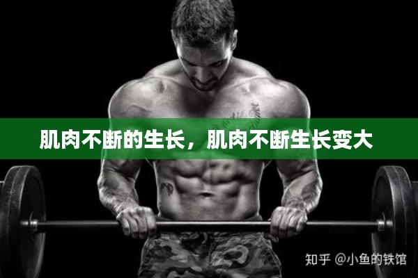 肌肉不断的生长,肌肉不断生长变大