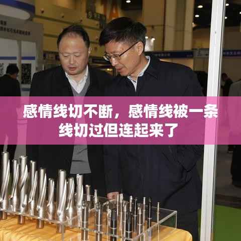 感情线切不断，感情线被一条线切过但连起来了 