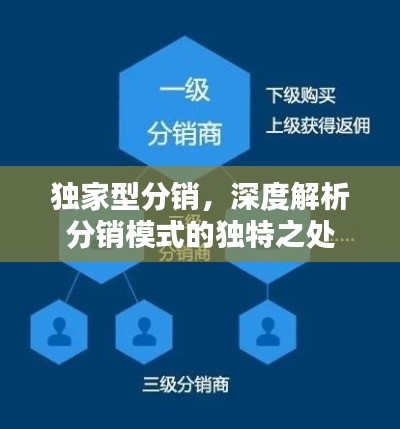 独家型分销，深度解析分销模式的独特之处