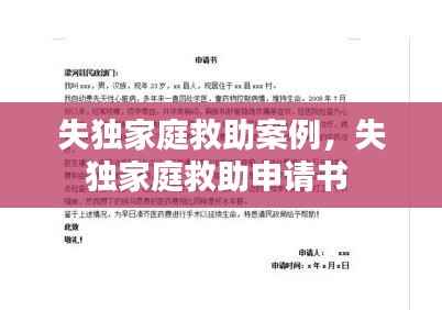 失独家庭救助案例，失独家庭救助申请书 