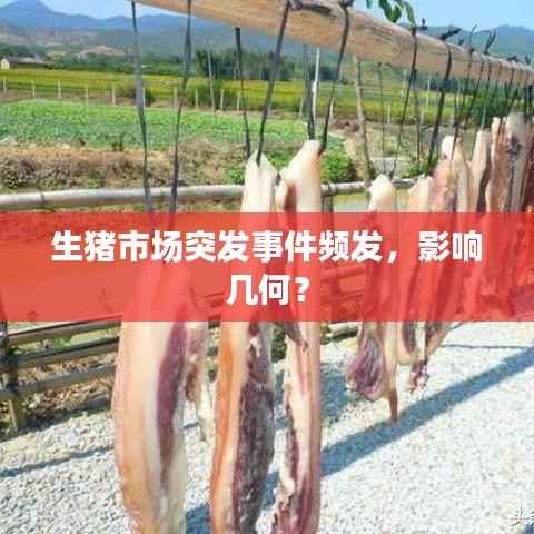 生猪市场突发事件频发,影响几何?