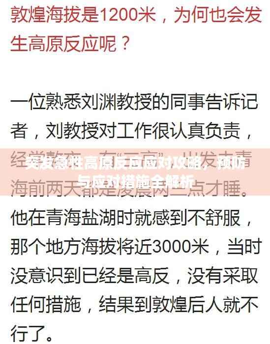 突发急性高原反应应对攻略,预防与应对措施全解析