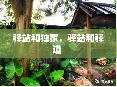 高人雅士 第5页