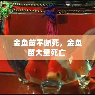 金鱼苗不断死,金鱼苗大量死亡