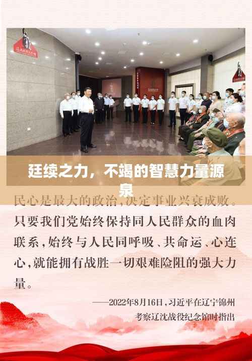廷续之力,不竭的智慧力量源泉