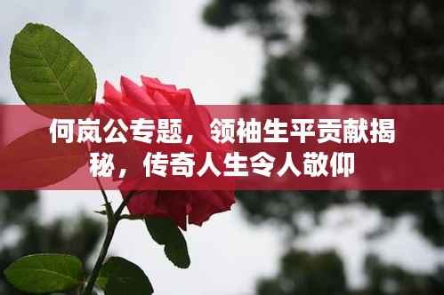 何岚公专题,领袖生平贡献揭秘,传奇人生令人敬仰