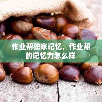 作业帮独家记忆,作业帮的记忆力怎么样