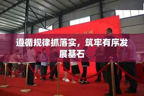 遵循规律抓落实，筑牢有序发展基石