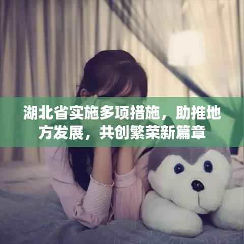 湖北省实施多项措施,助推地方发展,共创繁荣新篇章