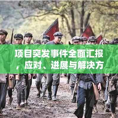 项目突发事件全面汇报,应对、进展与解决方案一网打尽
