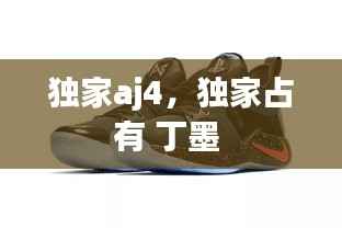 独家aj4，独家占有 丁墨 