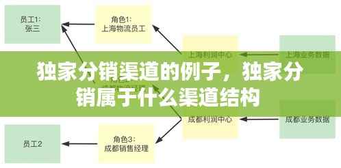 独家分销渠道的例子，独家分销属于什么渠道结构 