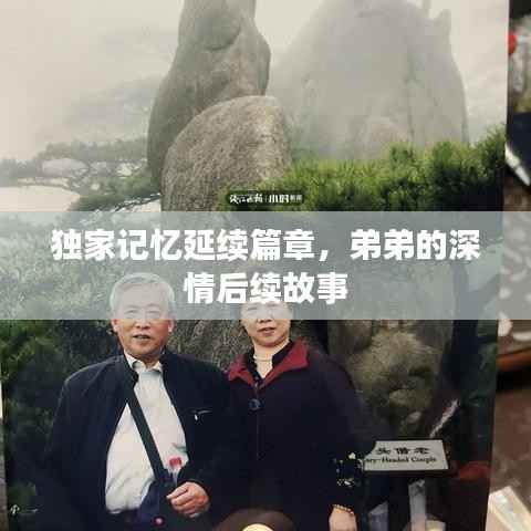 独家记忆延续篇章,弟弟的深情后续故事