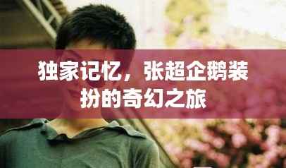 独家记忆，张超企鹅装扮的奇幻之旅