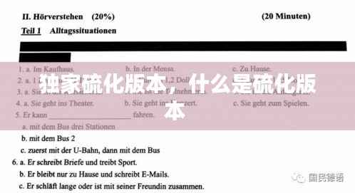 独家硫化版本,什么是硫化版本