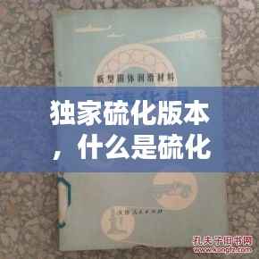 独家硫化版本,什么是硫化版本