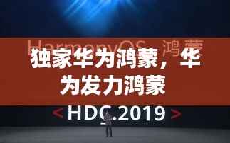 独家华为鸿蒙,华为发力鸿蒙