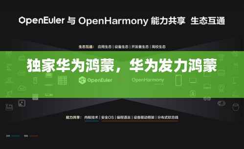 独家华为鸿蒙,华为发力鸿蒙