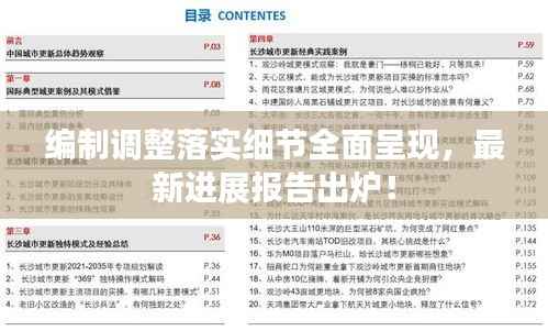 编制调整落实细节全面呈现，最新进展报告出炉！