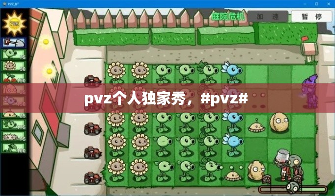 pvz个人独家秀，#pvz# 
