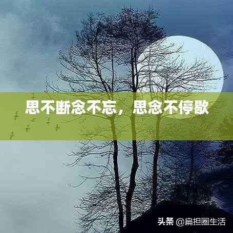 思不断念不忘,思念不停歇
