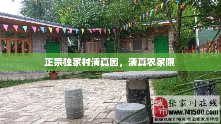 正宗独家村清真园,清真农家院