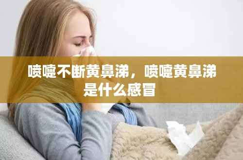 喷嚏不断黄鼻涕,喷嚏黄鼻涕是什么感冒