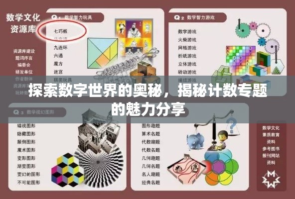探索数字世界的奥秘,揭秘计数专题的魅力分享