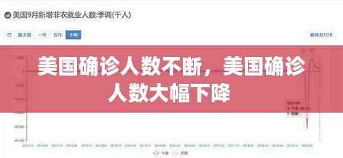 美国确诊人数不断，美国确诊人数大幅下降 