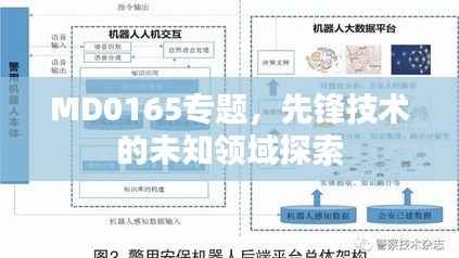 MD0165专题,先锋技术的未知领域探索