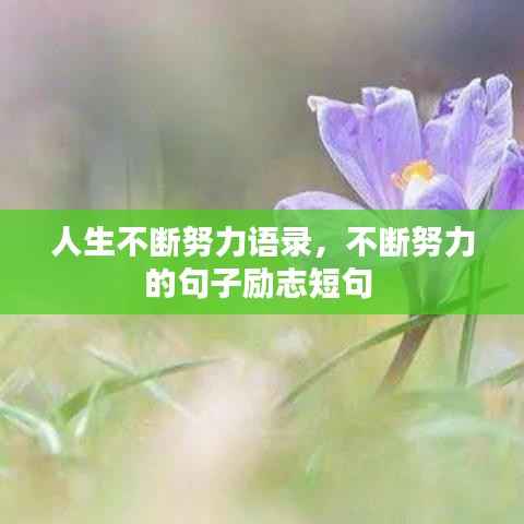 鸟革翬飞 第5页