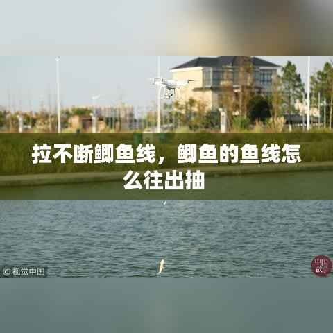 观往知来 第5页