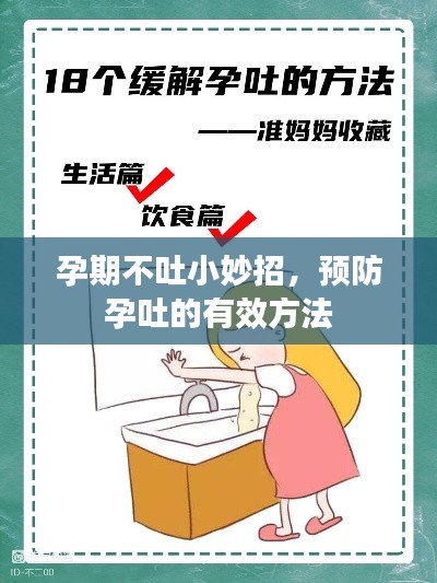 孕期不吐小妙招,预防孕吐的有效方法