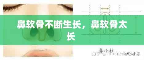 鼻软骨不断生长,鼻软骨太长