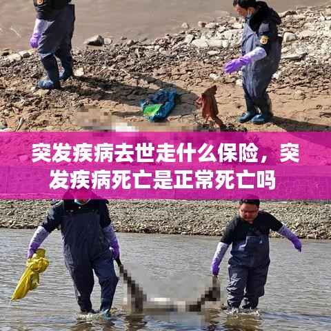 突发疾病去世走什么保险,突发疾病死亡是正常死亡吗