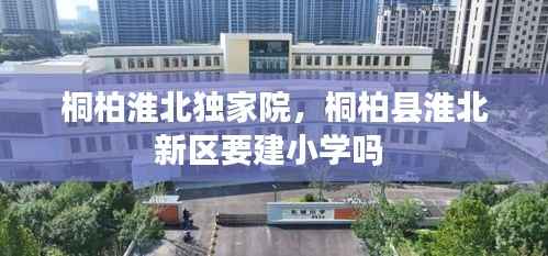 百不得一 第5页