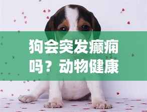 狗会突发癫痫吗？动物健康警报，宠物犬癫痫症状解析！