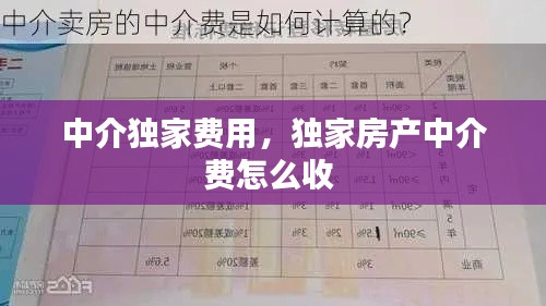 中介独家费用，独家房产中介费怎么收 