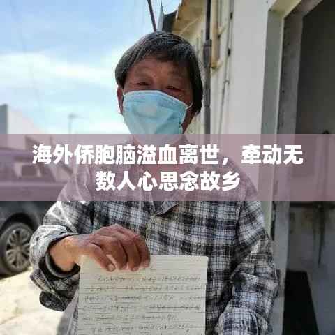 海外侨胞脑溢血离世,牵动无数人心思念故乡