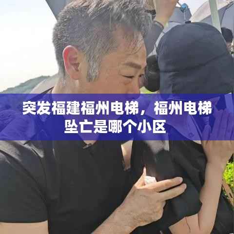 飞箭如蝗 第4页