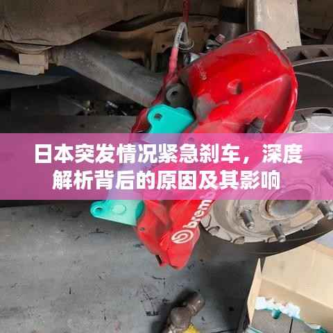 日本突发情况紧急刹车，深度解析背后的原因及其影响