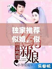 独家推荐似婚，似婚小说 