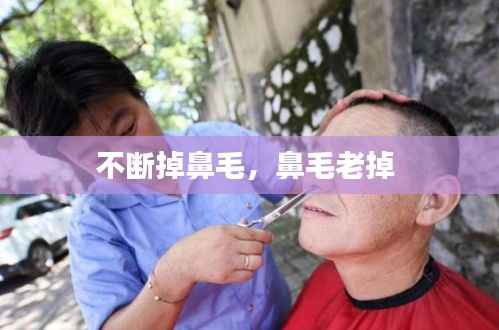 不断掉鼻毛，鼻毛老掉 