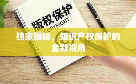 独家揭秘,知识产权保护的全新视角