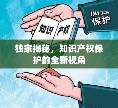 独家揭秘,知识产权保护的全新视角