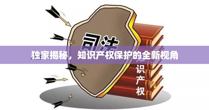 独家揭秘,知识产权保护的全新视角